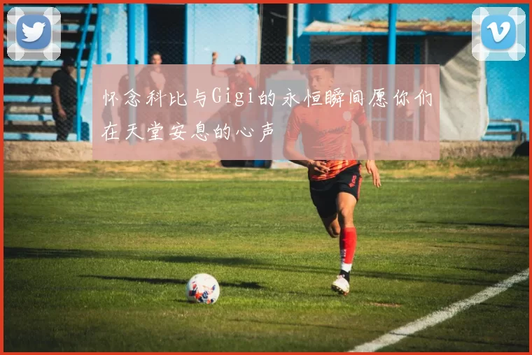 怀念科比与Gigi的永恒瞬间愿你们在天堂安息的心声