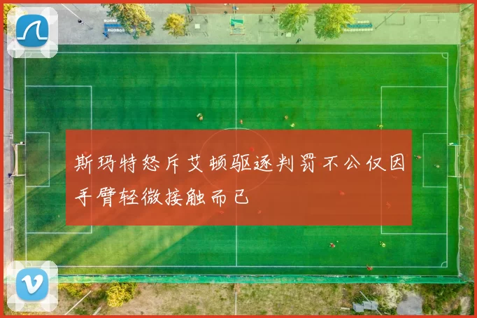 斯玛特怒斥艾顿驱逐判罚不公仅因手臂轻微接触而已